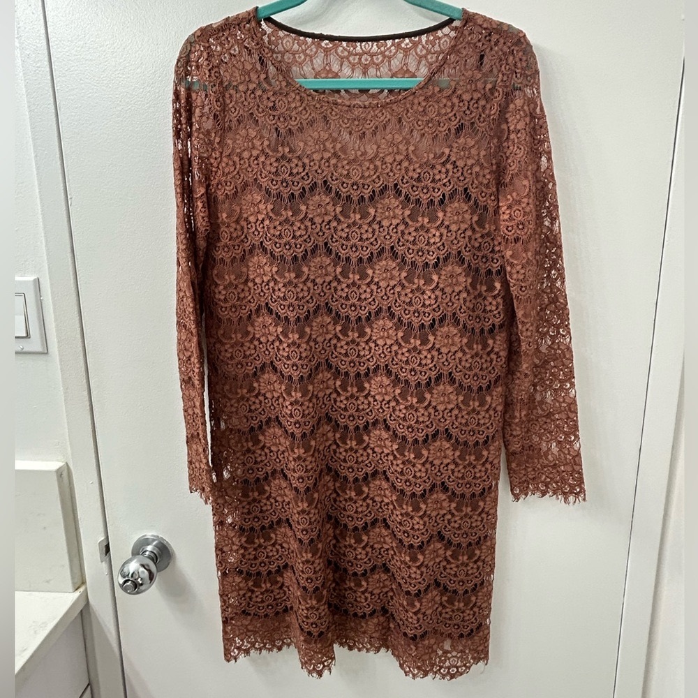 Vintage Madewell (Broadway & Broome brand) brown lace dress with brown slip